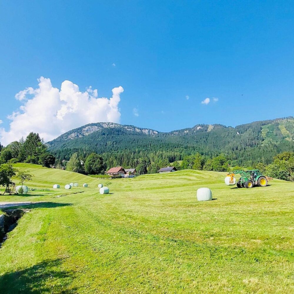 Beim "heign" im Sommer am Wagnerhof in Kainisch